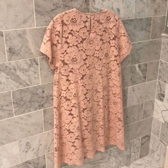 tiger mist lace dress DEJA DRESS main image 1